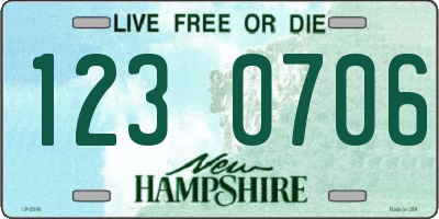 NH license plate 1230706