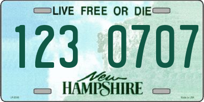 NH license plate 1230707