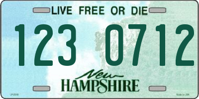 NH license plate 1230712