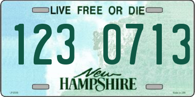 NH license plate 1230713