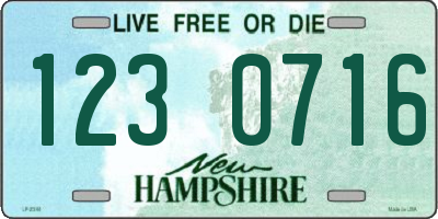 NH license plate 1230716