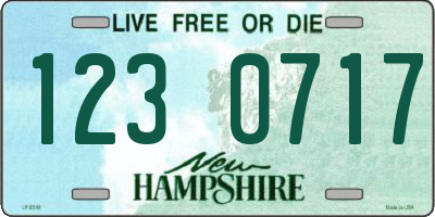 NH license plate 1230717