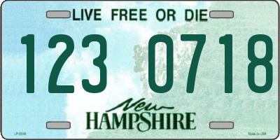 NH license plate 1230718