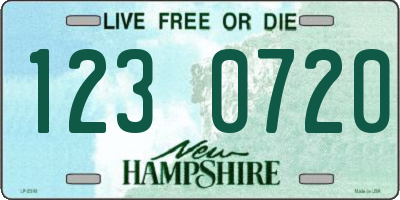 NH license plate 1230720