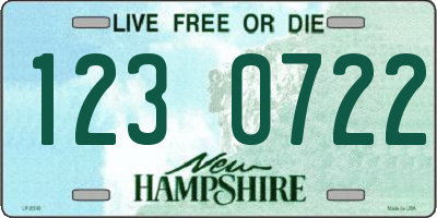 NH license plate 1230722
