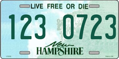 NH license plate 1230723