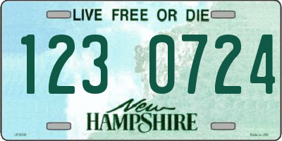 NH license plate 1230724