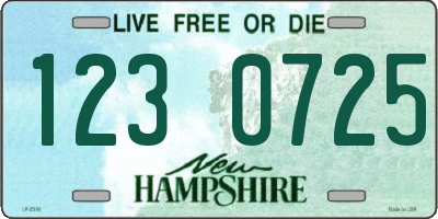 NH license plate 1230725