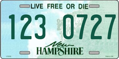 NH license plate 1230727