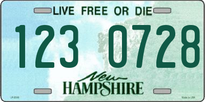 NH license plate 1230728