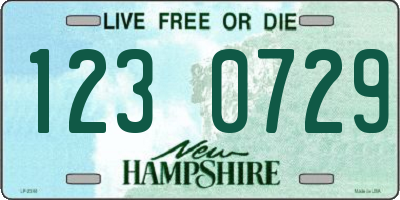 NH license plate 1230729
