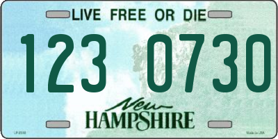 NH license plate 1230730