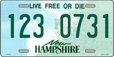 NH license plate 1230731