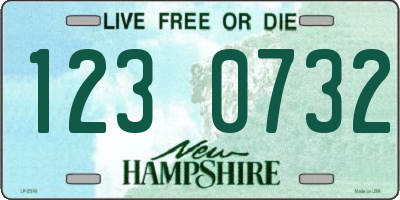 NH license plate 1230732