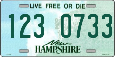 NH license plate 1230733