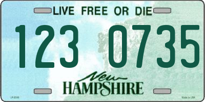 NH license plate 1230735