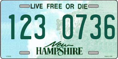 NH license plate 1230736