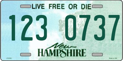 NH license plate 1230737