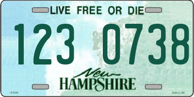 NH license plate 1230738