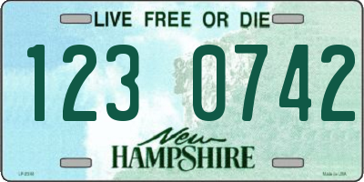 NH license plate 1230742