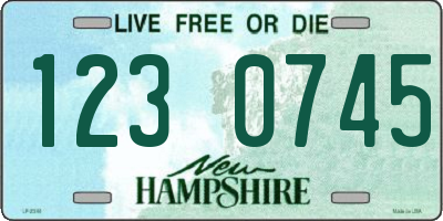 NH license plate 1230745