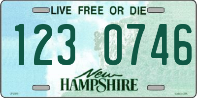NH license plate 1230746