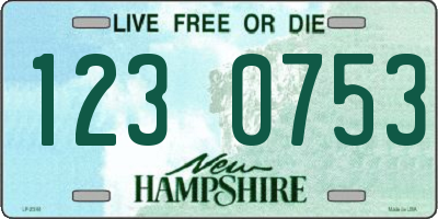 NH license plate 1230753