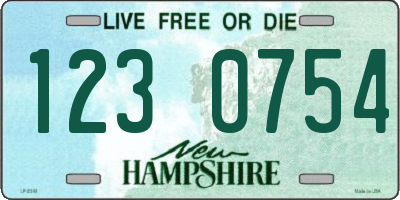 NH license plate 1230754