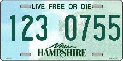 NH license plate 1230755
