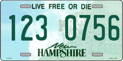 NH license plate 1230756
