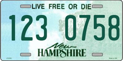NH license plate 1230758