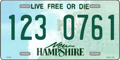 NH license plate 1230761
