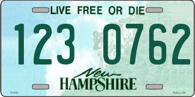 NH license plate 1230762