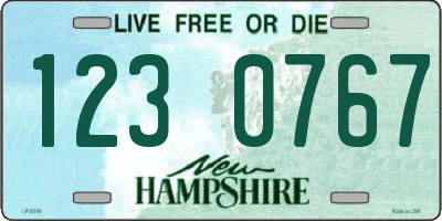 NH license plate 1230767