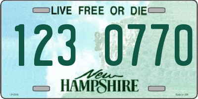 NH license plate 1230770