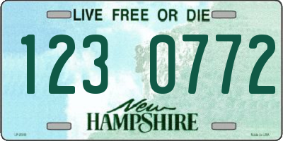 NH license plate 1230772