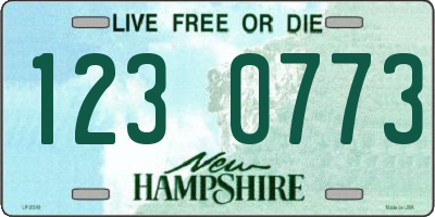 NH license plate 1230773