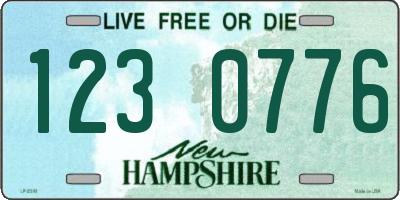 NH license plate 1230776