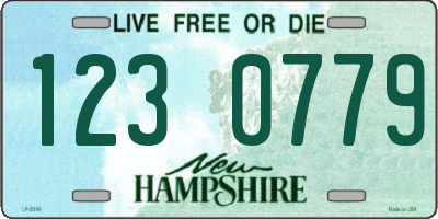 NH license plate 1230779