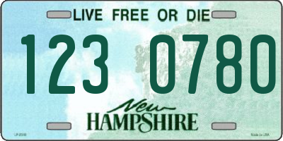 NH license plate 1230780