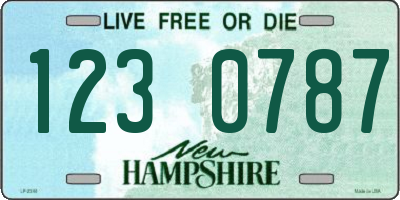 NH license plate 1230787