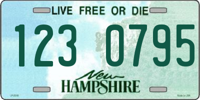 NH license plate 1230795