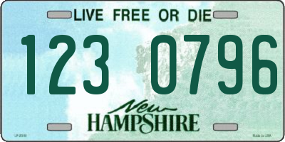 NH license plate 1230796