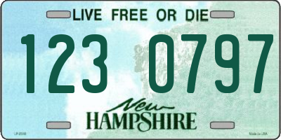 NH license plate 1230797
