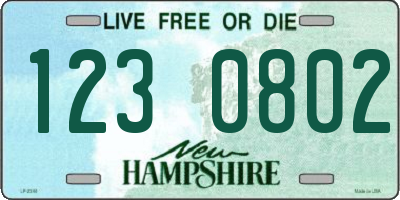 NH license plate 1230802