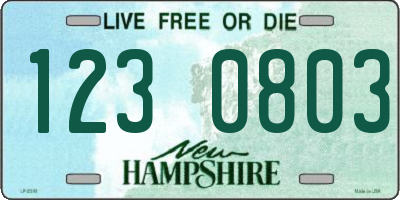 NH license plate 1230803