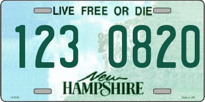 NH license plate 1230820