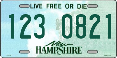 NH license plate 1230821