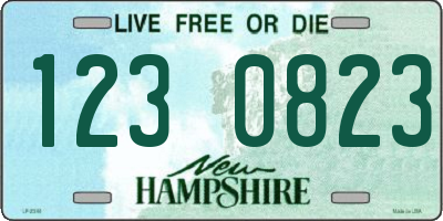 NH license plate 1230823