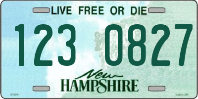 NH license plate 1230827